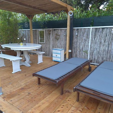 Domusauroom, Relax Nel Cuore Della Versilia - Pet Friendly Viareggio Eksteriør bilde