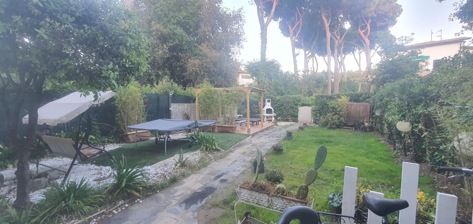 Domusauroom, Relax Nel Cuore Della Versilia - Pet Friendly Viareggio Eksteriør bilde