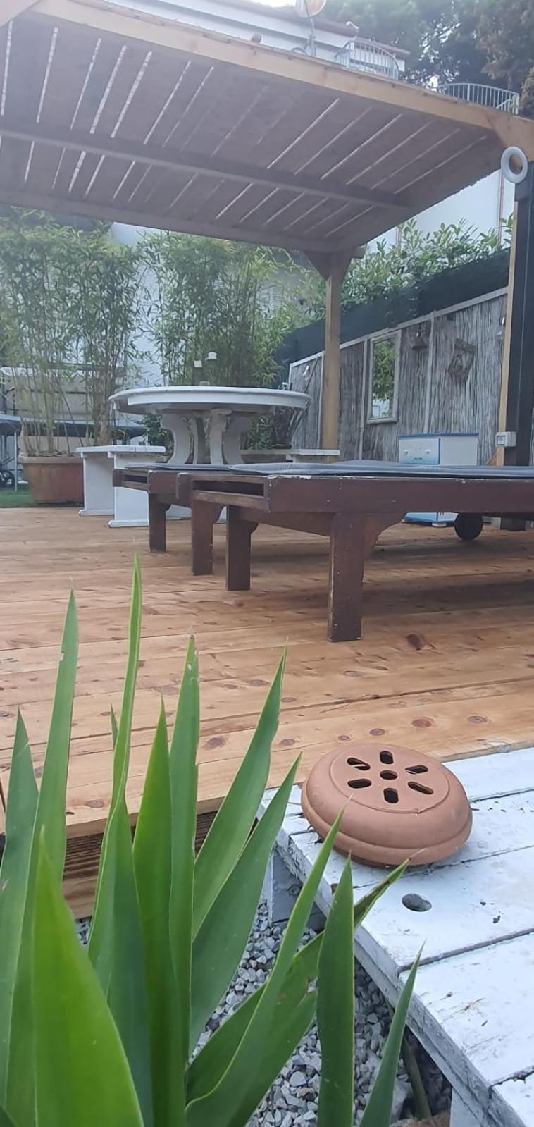 Domusauroom, Relax Nel Cuore Della Versilia - Pet Friendly Viareggio Eksteriør bilde